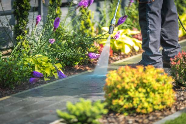 Best Driveway Cleaning and Restoration in Edgewater, NJ